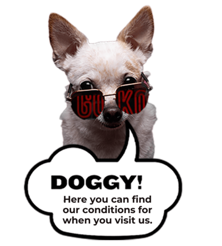 Dog Friendly Rules