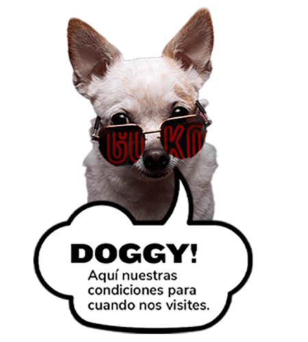Dog Friendly Rules