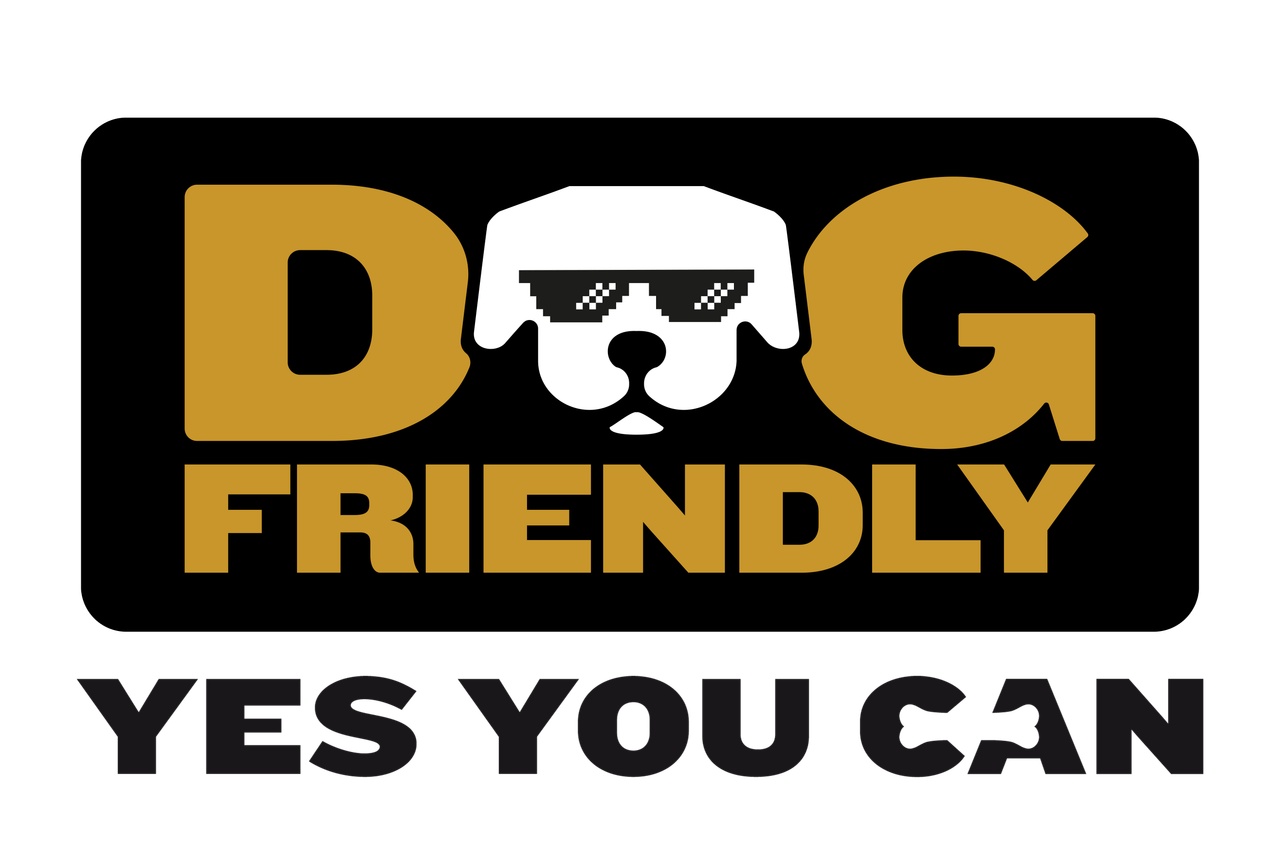 Yes You Can Logo