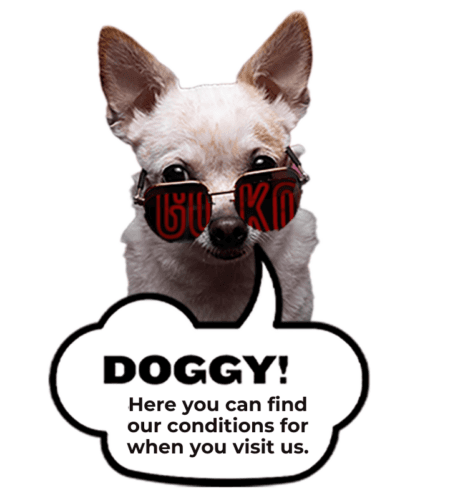 Dog Friendly Rules