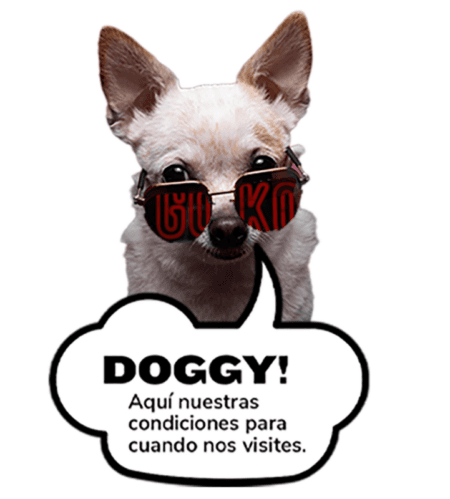 Dog Friendly Rules